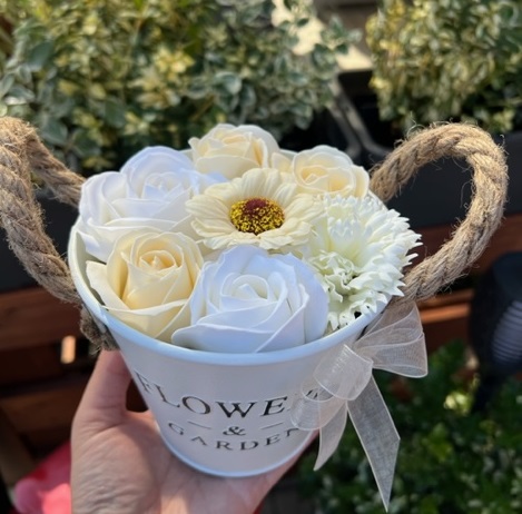 Flower box - plecháček Champagne S / 14 cm výška