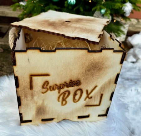 WOOD Dřevěný box - krychle 25x25x25 cm prázdný