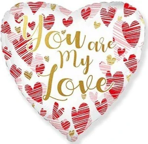SR 75 - srdce You are my love 43cm