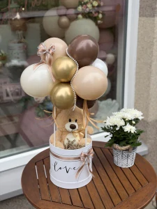 Teddy box - k narození miminka, narozeninám ..