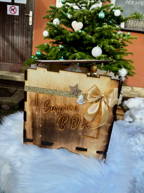 WOOD Dřevěný box - krychle 25x25x25 cm + moje náplň