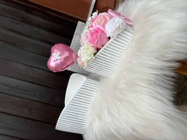 F-BOX Stone heart vel. S / 15cm