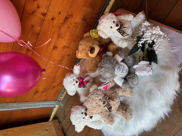 Medvídek 01 - hnědý