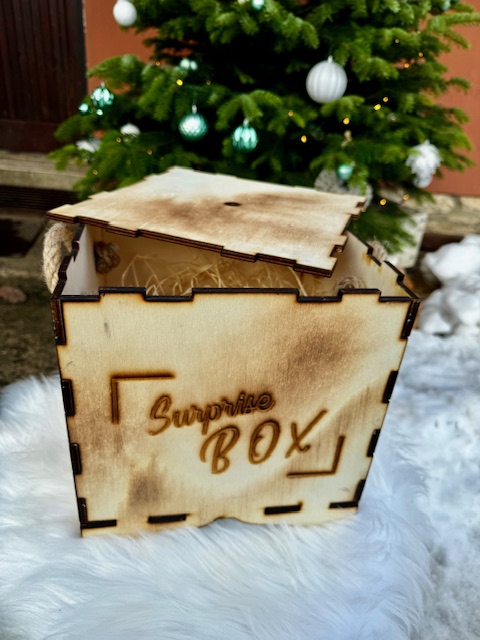 WOOD Dřevěný box - krychle 25x25x25 cm + Vaše náplň